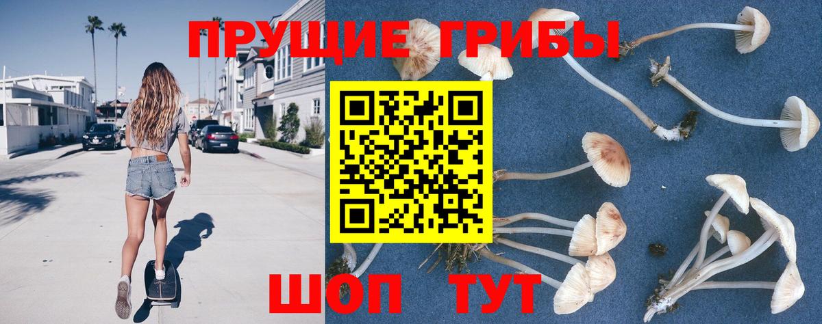 Псилоцибиновые грибы ЛСД  Вход с VPN  Кириши 